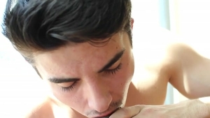 Protruding, Dreary & Tart